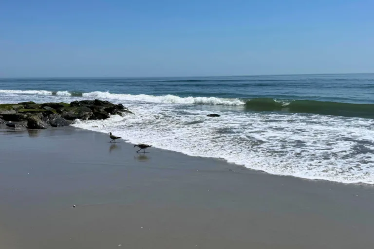 Step-into-Silence-NJ